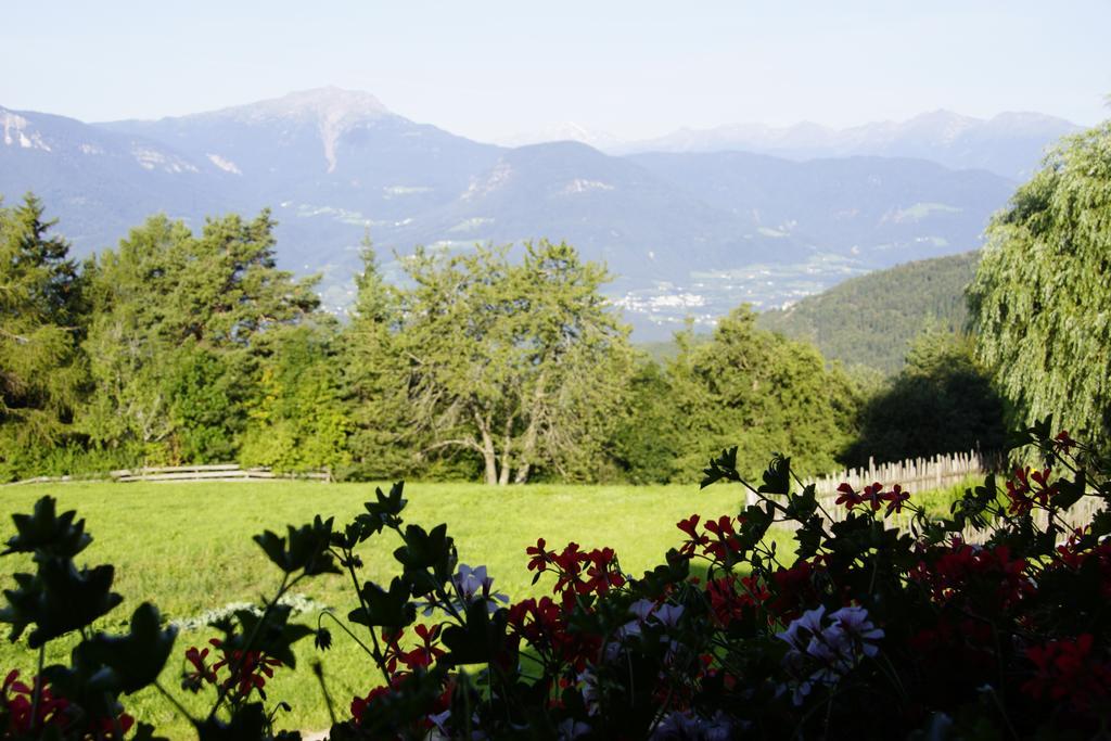 Gastreinhof Мельтина Экстерьер фото